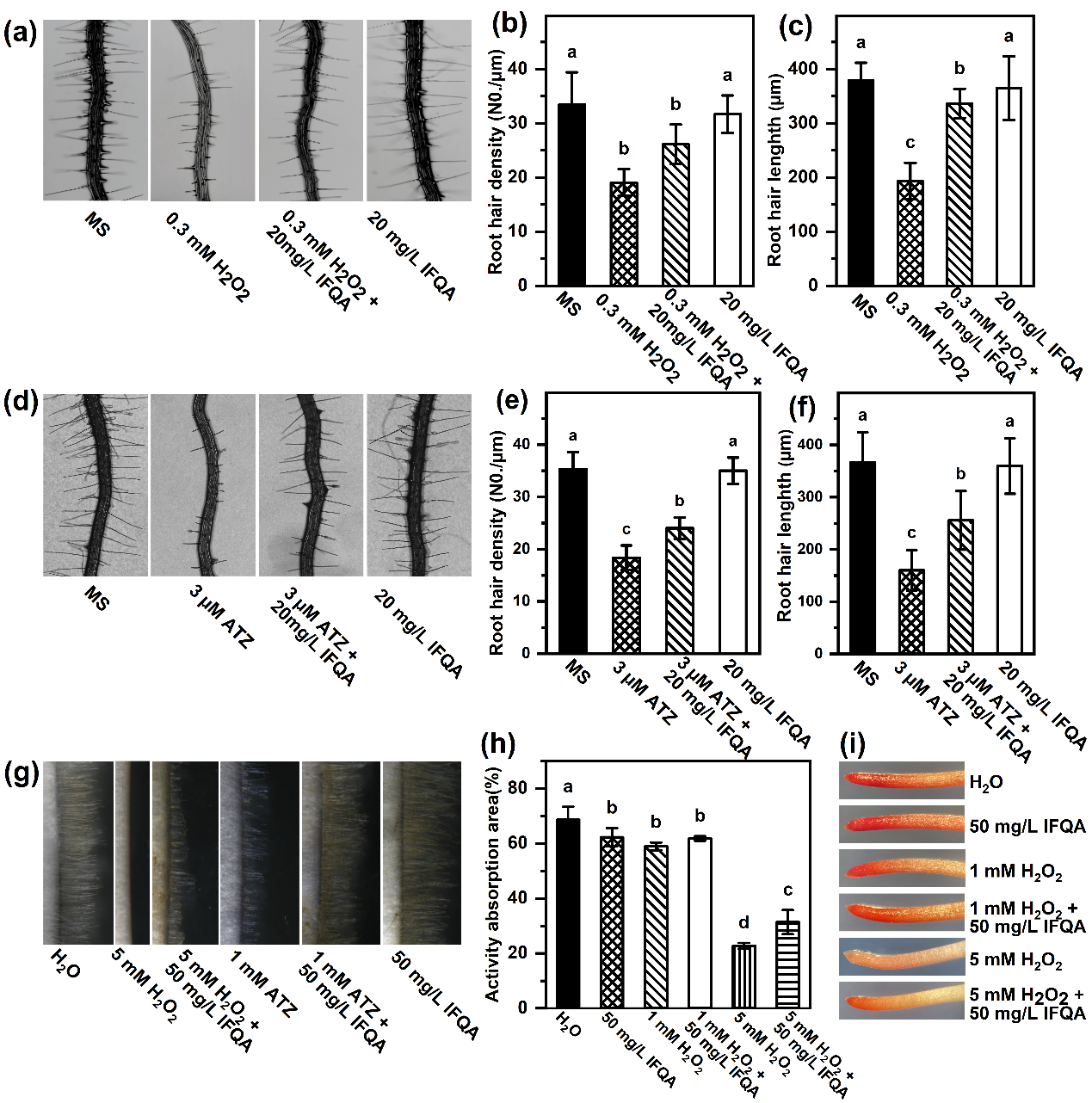 ���ߵ����˿��ֽ�