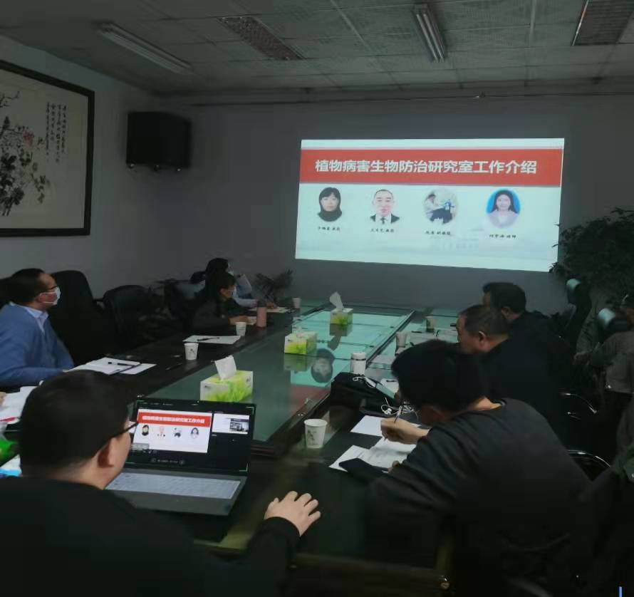 ���ߵ����˿��ֽ�