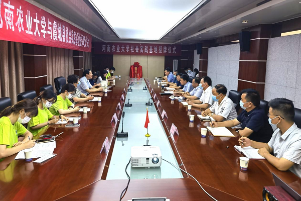 ���ߵ����˿��ֽ�