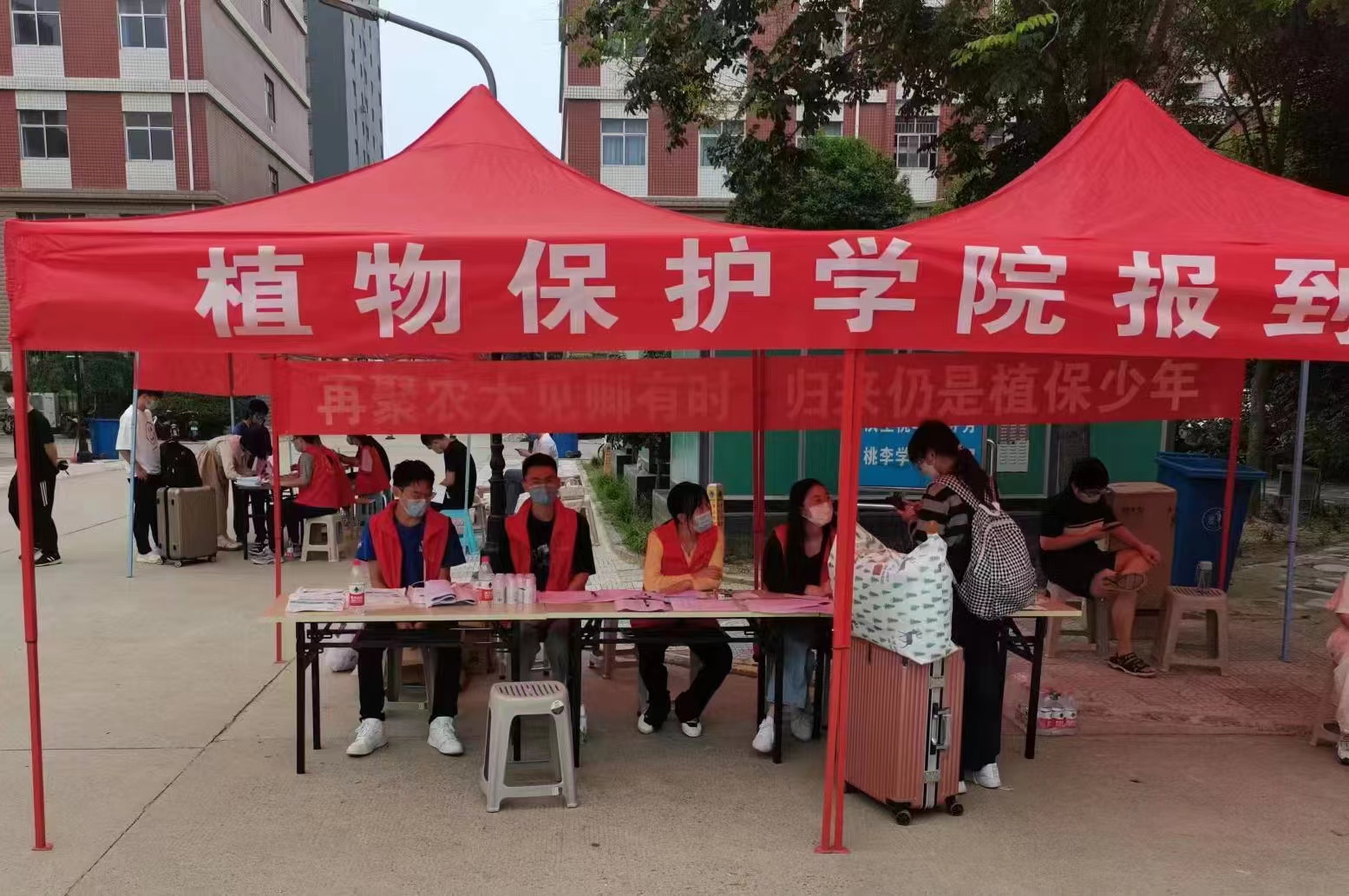 ���ߵ����˿��ֽ�