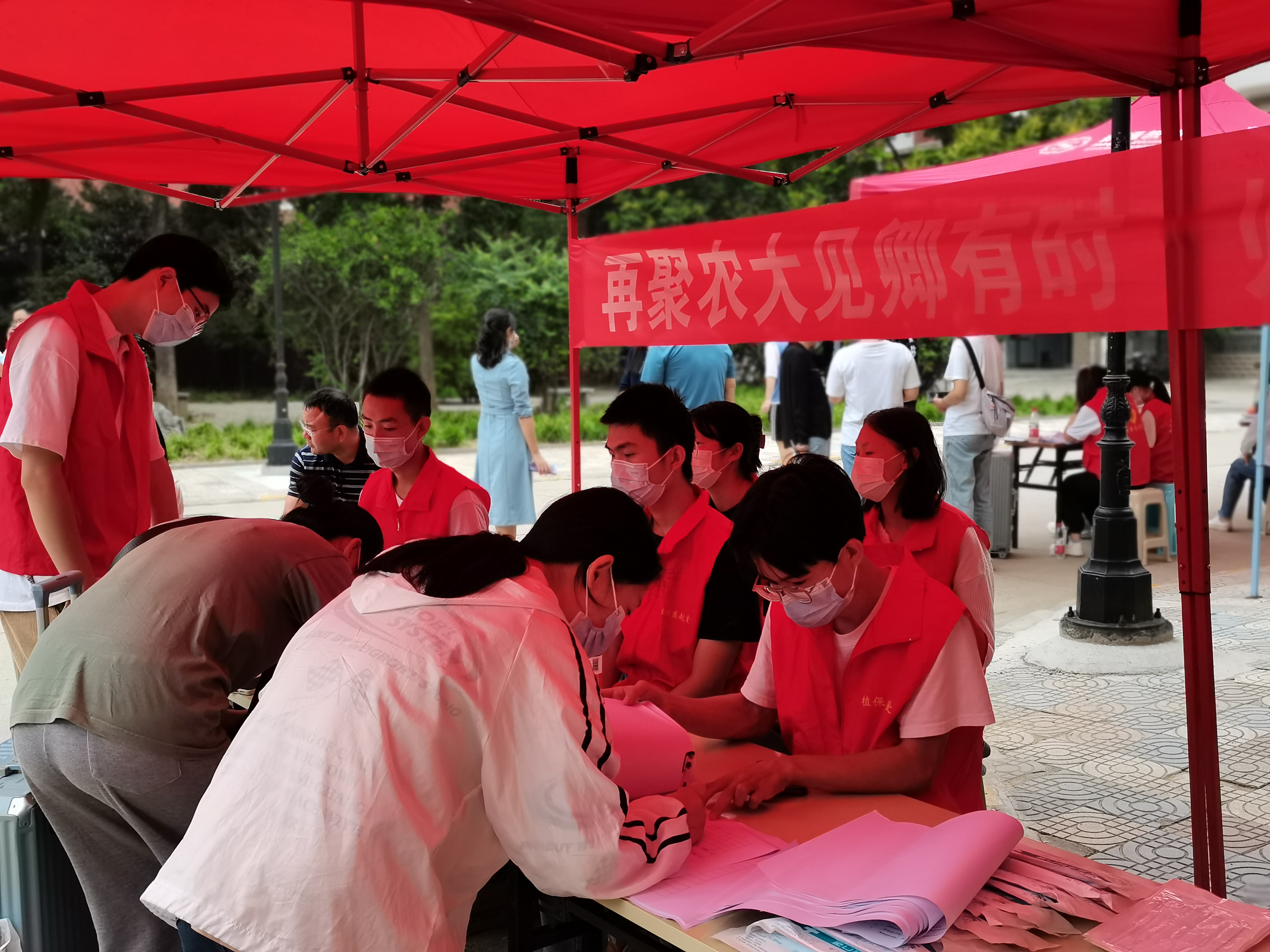 ���ߵ����˿��ֽ�