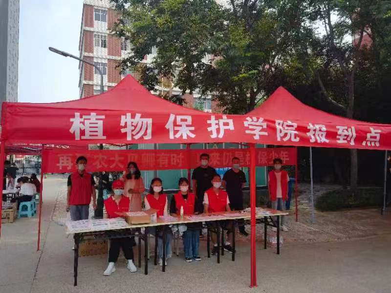 ���ߵ����˿��ֽ�