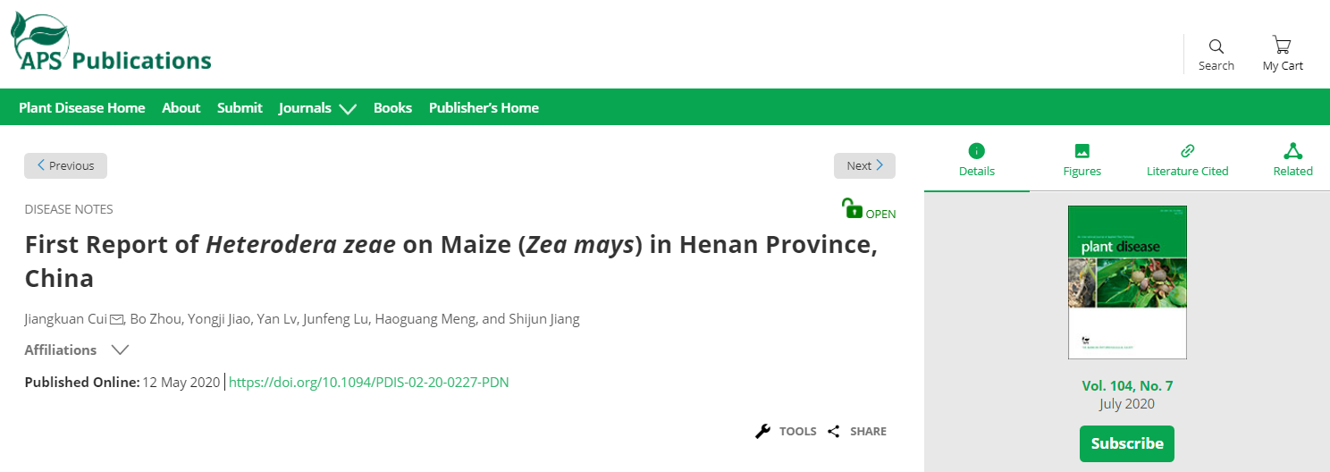 ���ߵ����˿��ֽ�