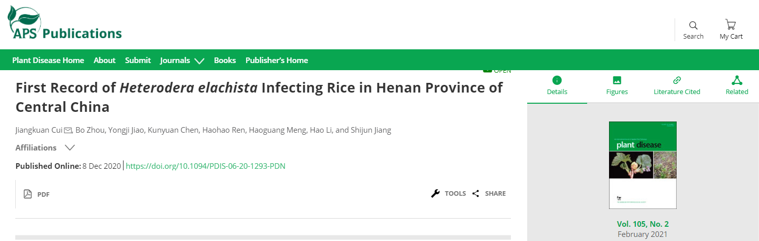 ���ߵ����˿��ֽ�