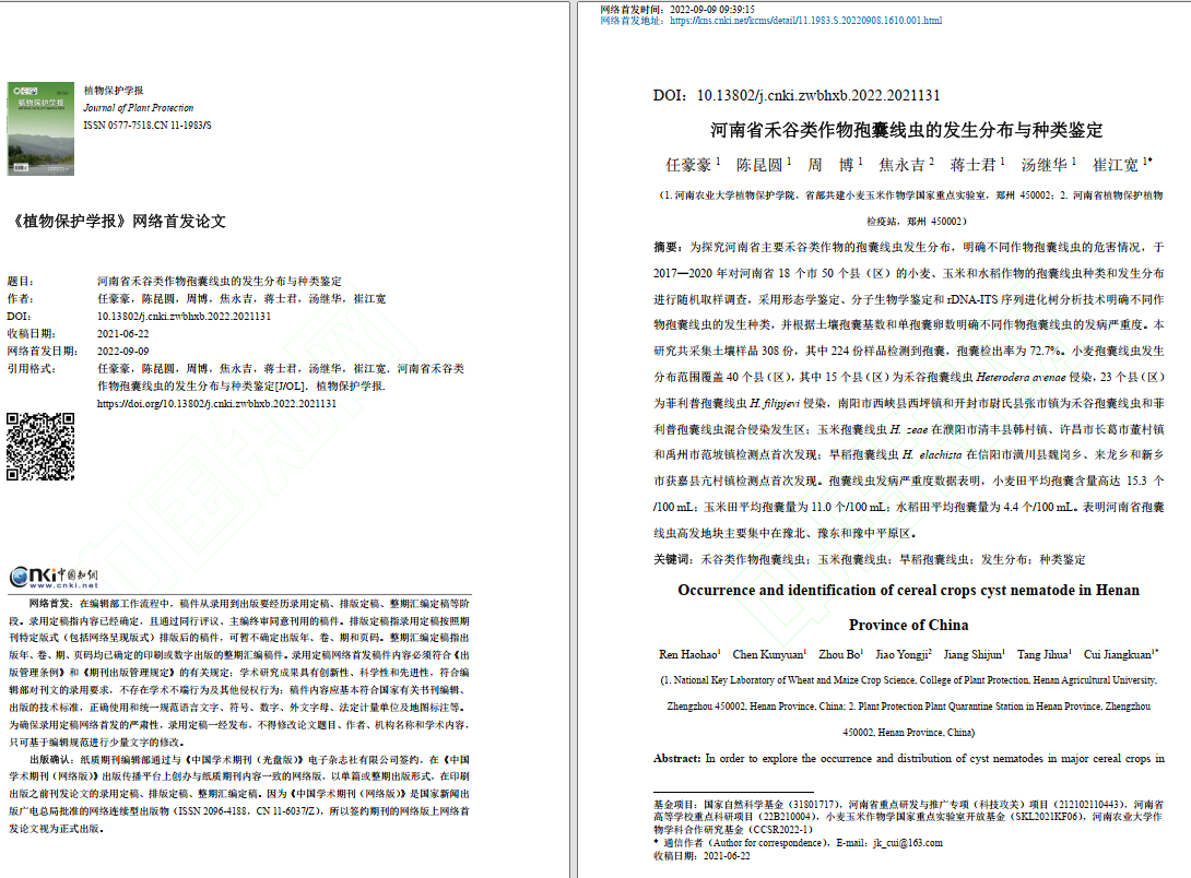 ���ߵ����˿��ֽ�