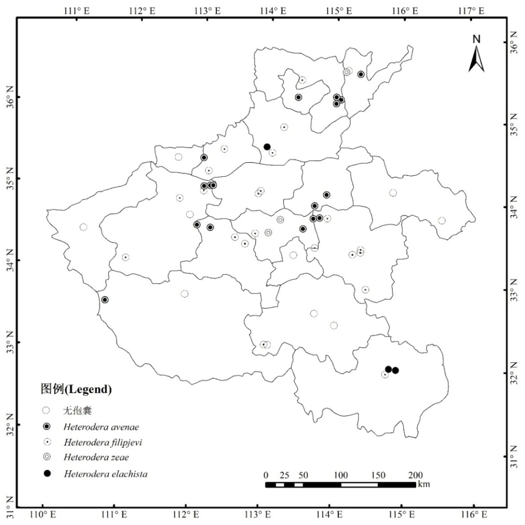 ���ߵ����˿��ֽ�