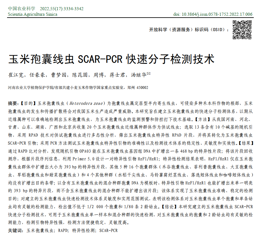 ���ߵ����˿��ֽ�