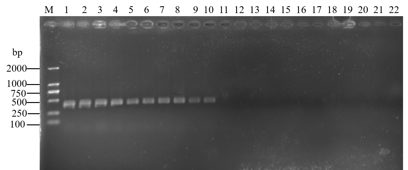 ���ߵ����˿��ֽ�