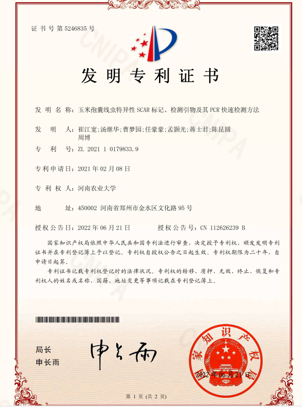 ���ߵ����˿��ֽ�