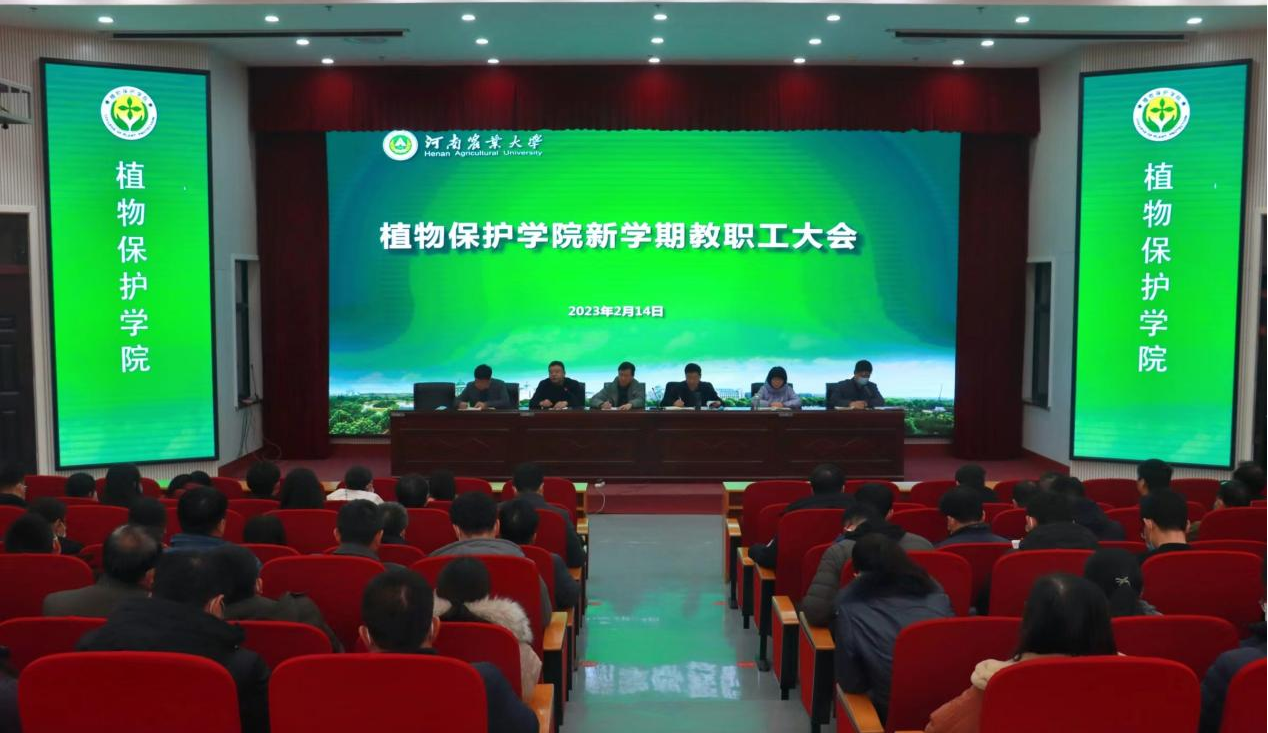 ���ߵ����˿��ֽ�