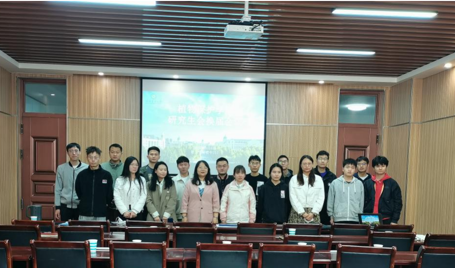 ���ߵ����˿��ֽ�