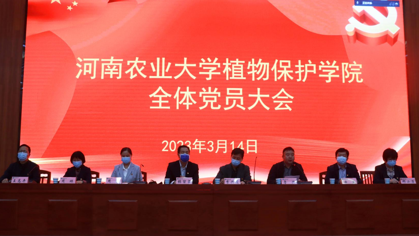 ���ߵ����˿��ֽ�