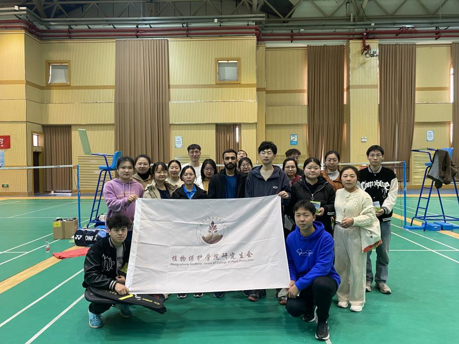 ���ߵ����˿��ֽ�