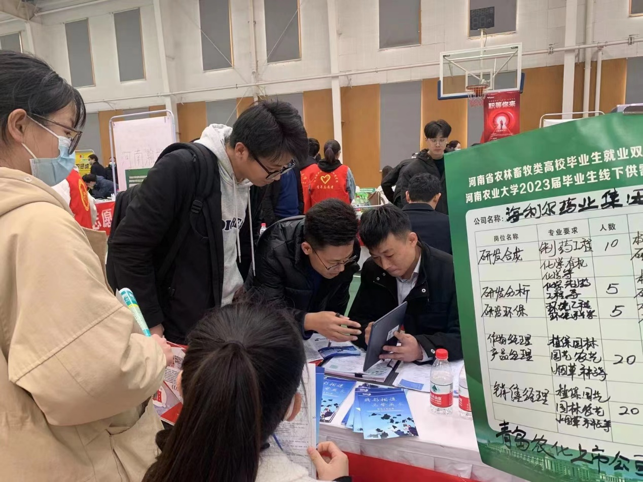 ���ߵ����˿��ֽ�