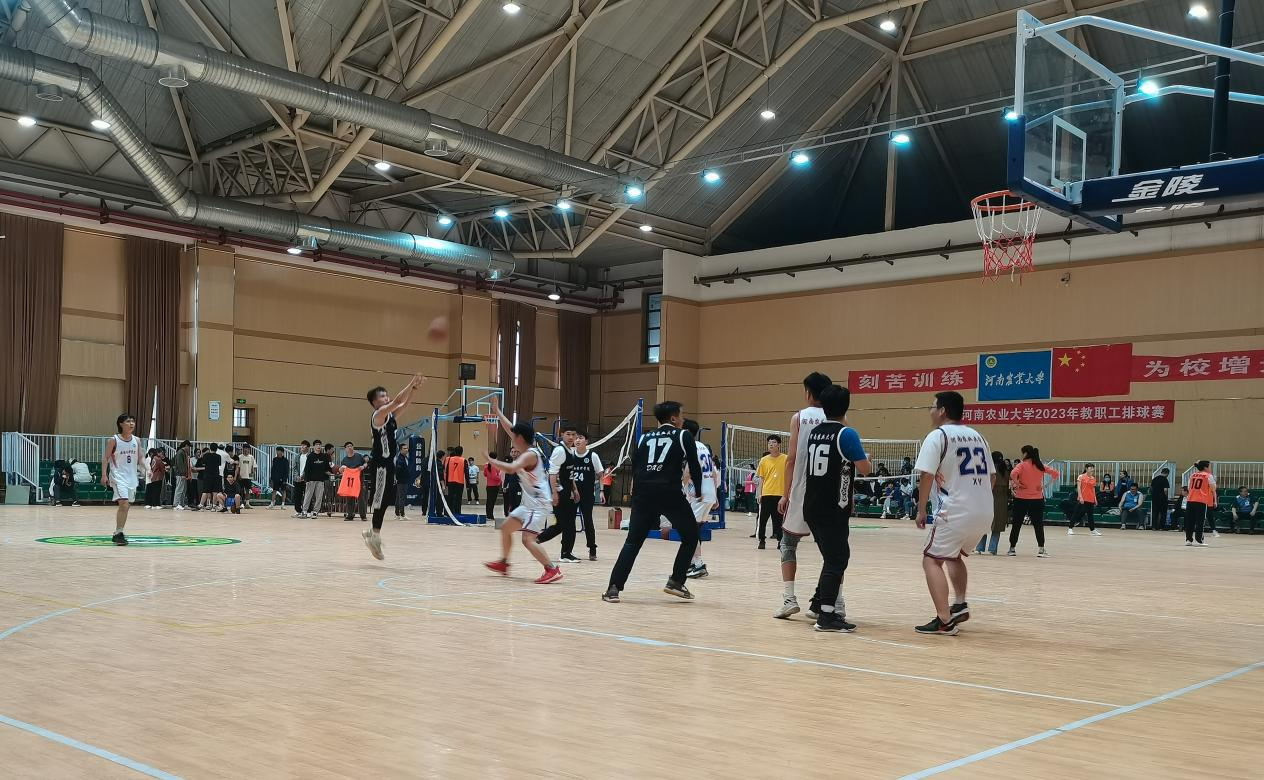 ���ߵ����˿��ֽ�