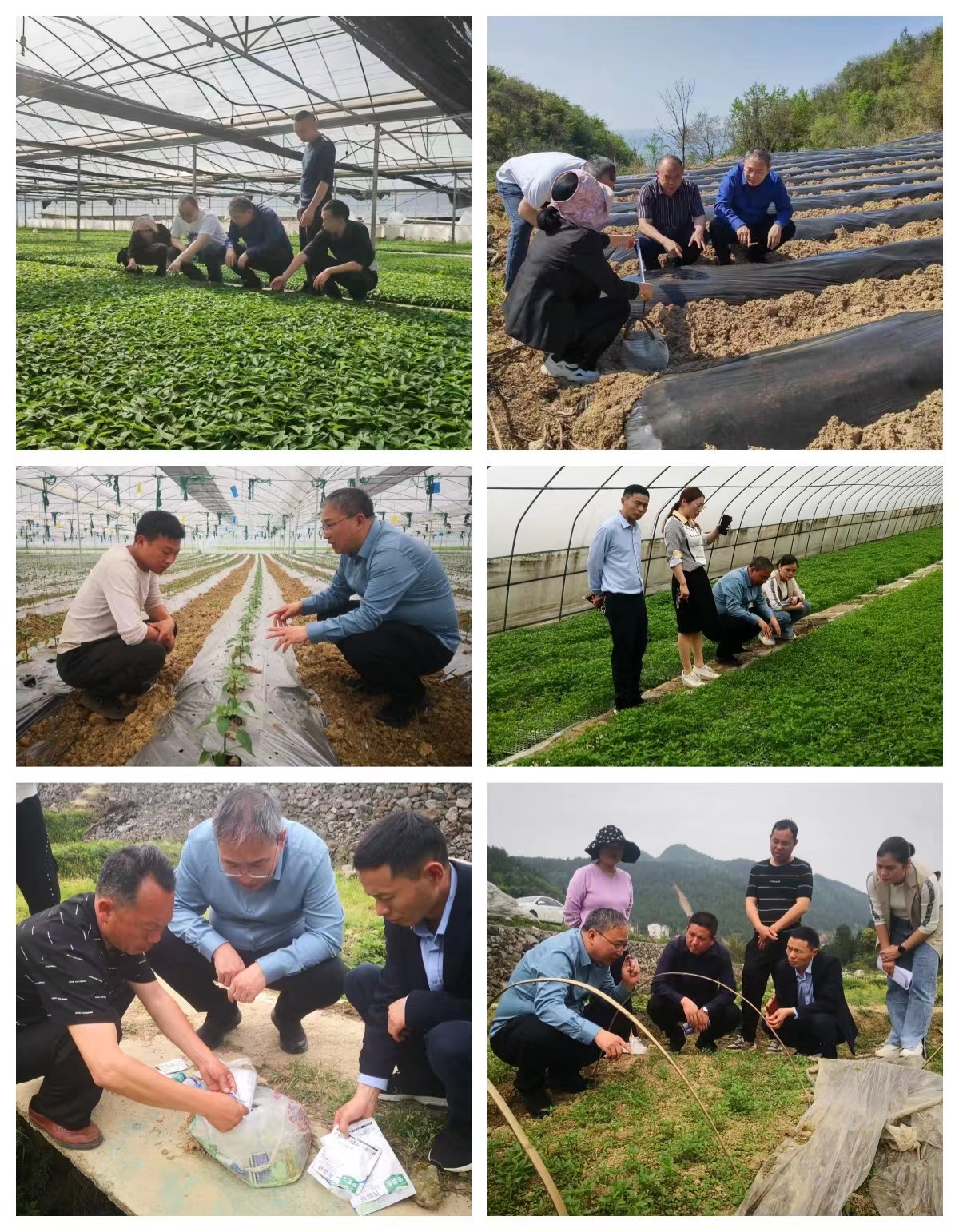 ���ߵ����˿��ֽ�