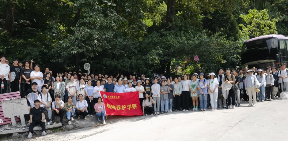 ���ߵ����˿��ֽ�