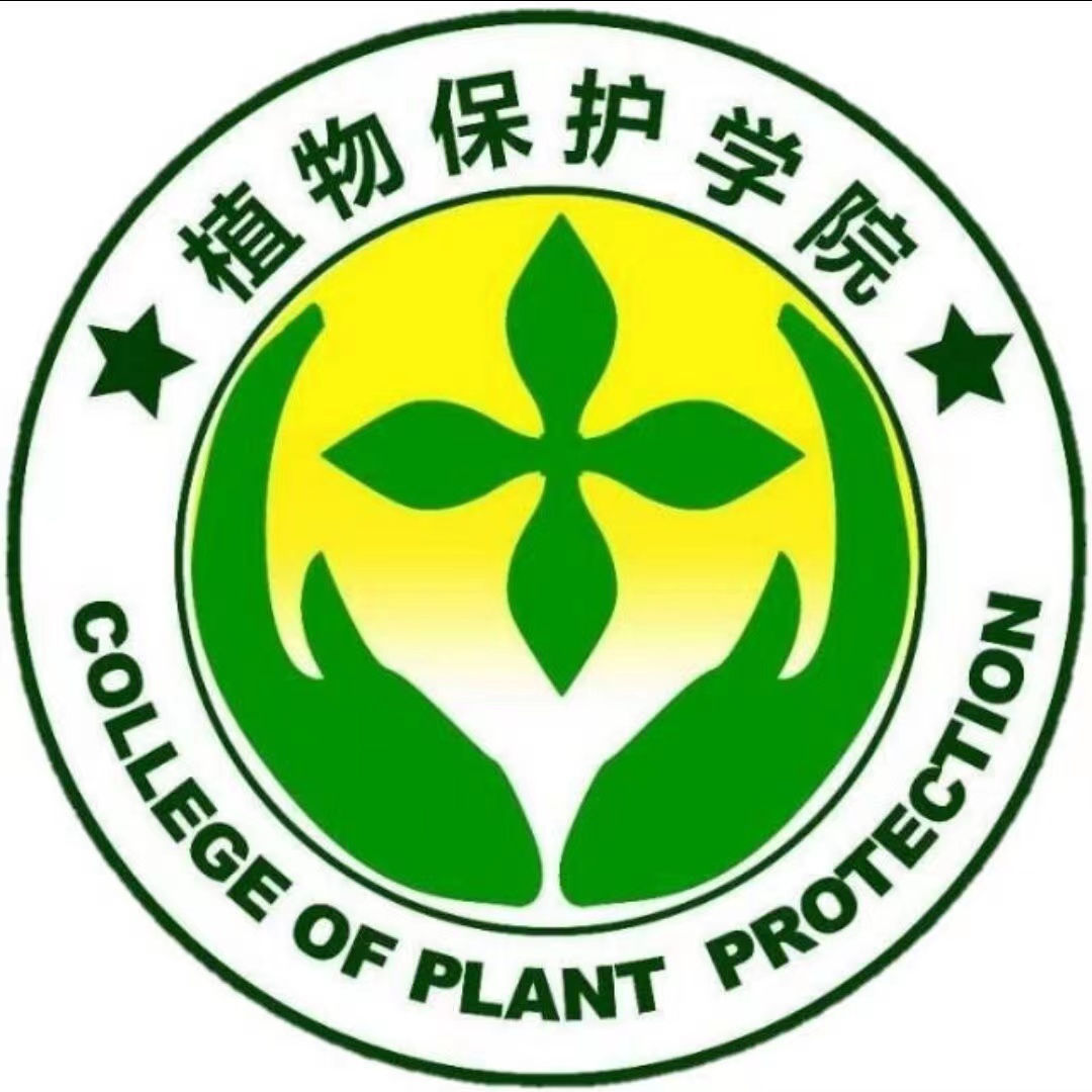 ���ߵ����˿��ֽ�