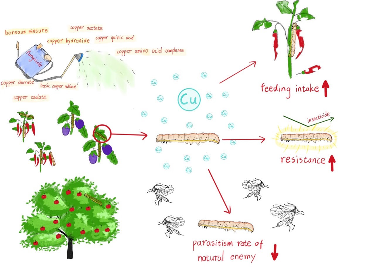 在线德州扑克现金