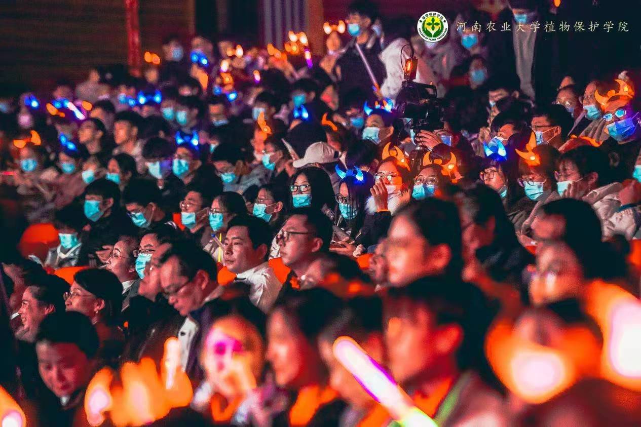 ���ߵ����˿��ֽ�