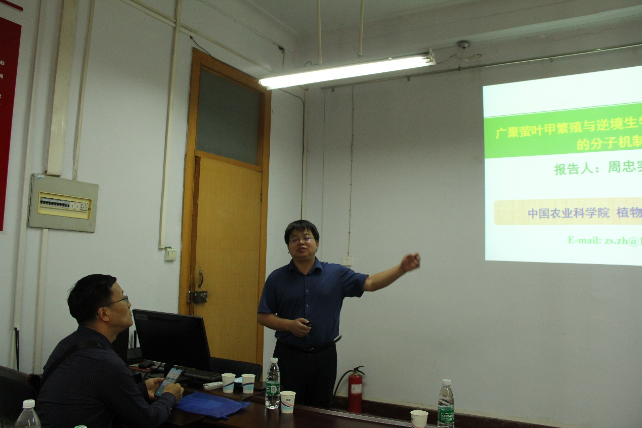 ���ߵ����˿��ֽ�