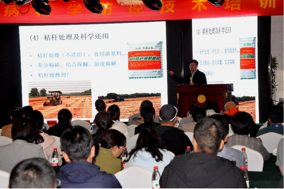 ���ߵ����˿��ֽ�