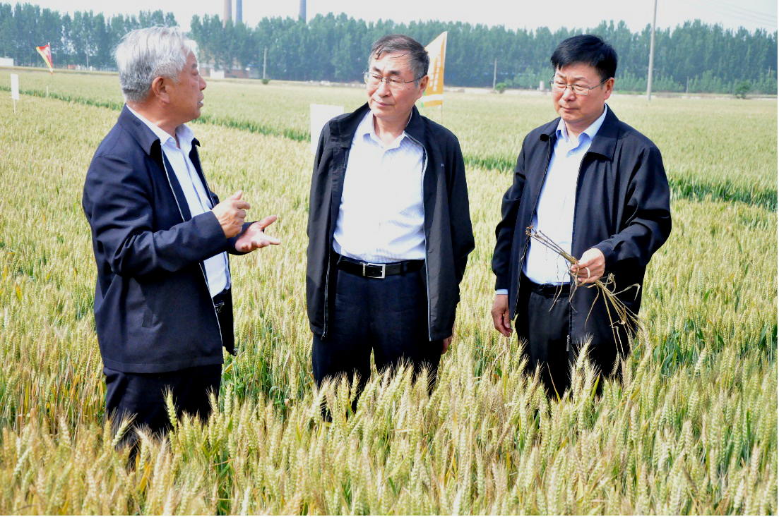 ���ߵ����˿��ֽ�