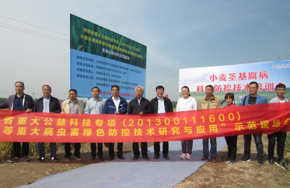 ���ߵ����˿��ֽ�