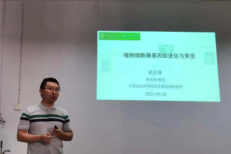 ���ߵ����˿��ֽ�