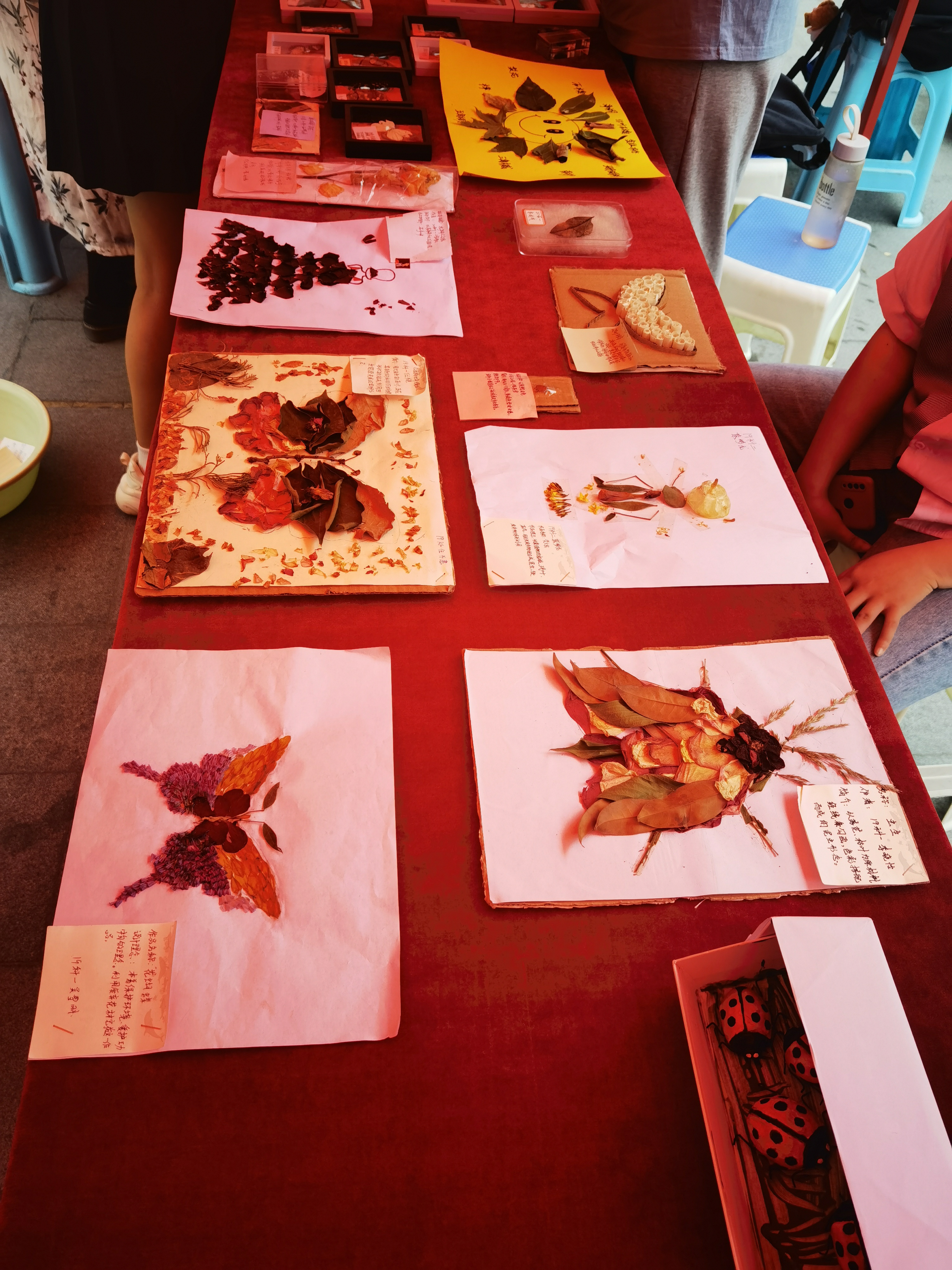 ���ߵ����˿��ֽ�