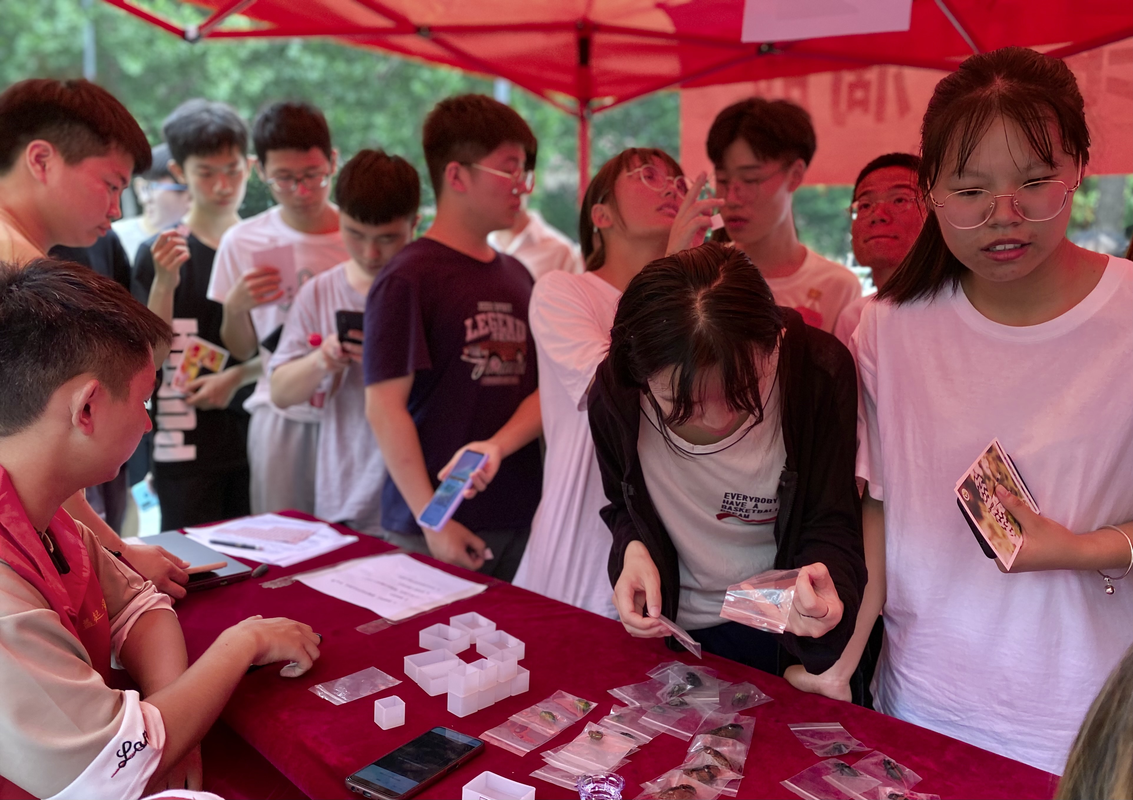 ���ߵ����˿��ֽ�