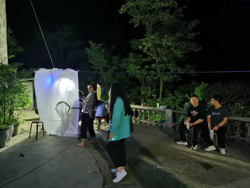 ���ߵ����˿��ֽ�