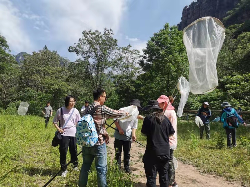 ���ߵ����˿��ֽ�