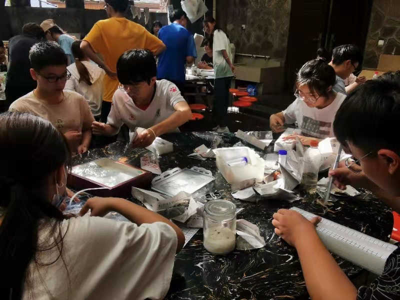 ���ߵ����˿��ֽ�