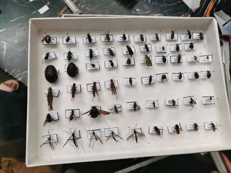 ���ߵ����˿��ֽ�