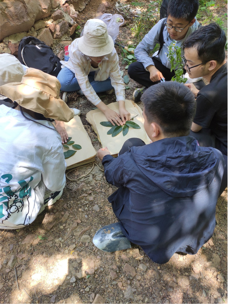 ���ߵ����˿��ֽ�