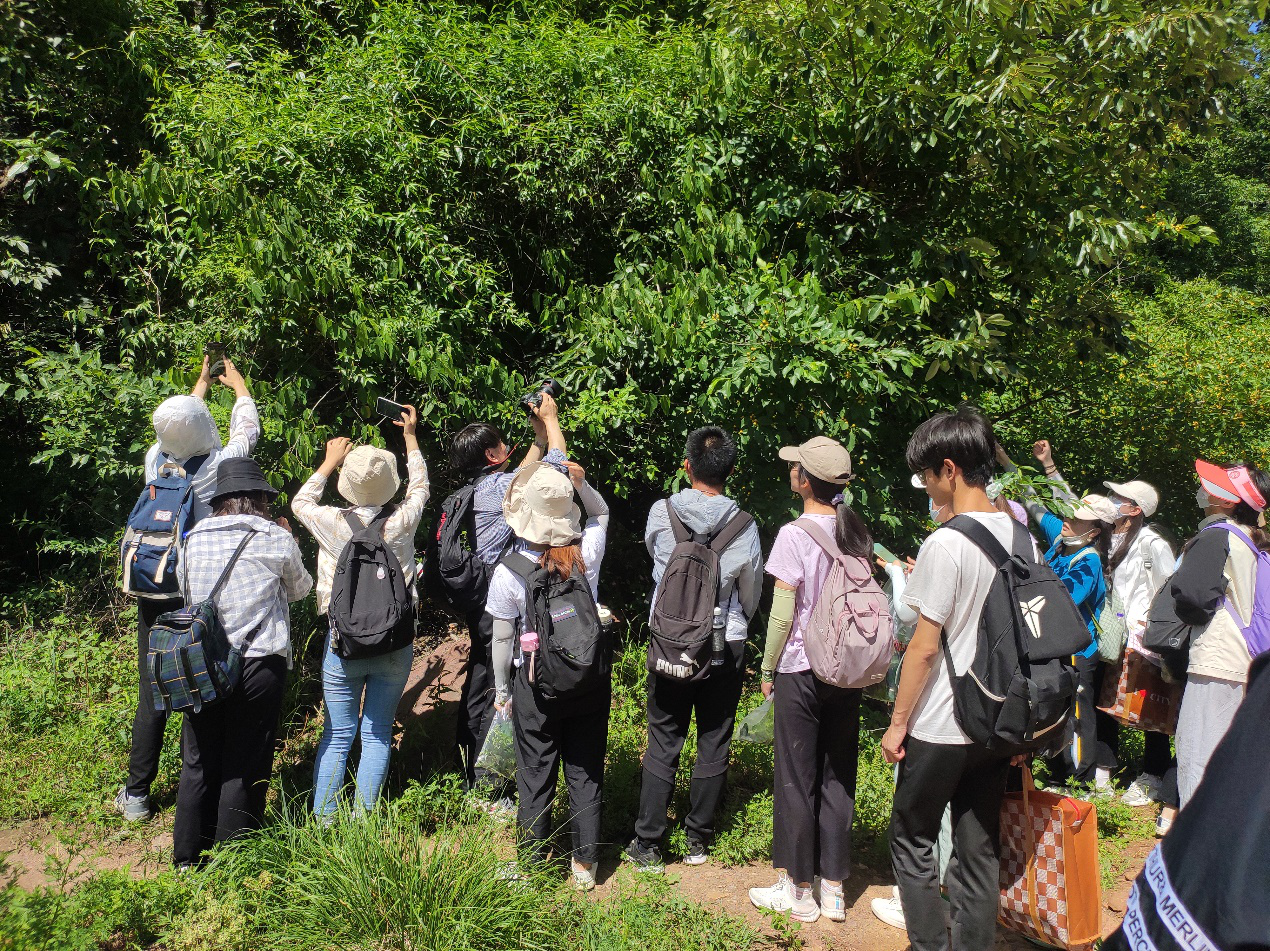 ���ߵ����˿��ֽ�