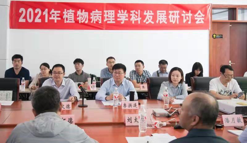 ���ߵ����˿��ֽ�