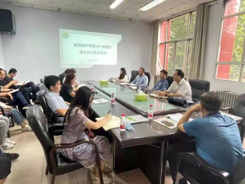 ���ߵ����˿��ֽ�