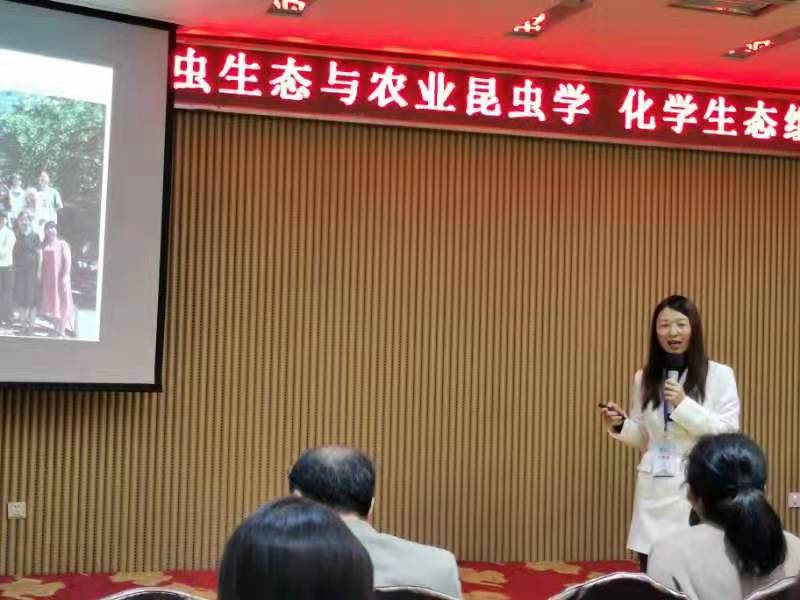 ���ߵ����˿��ֽ�