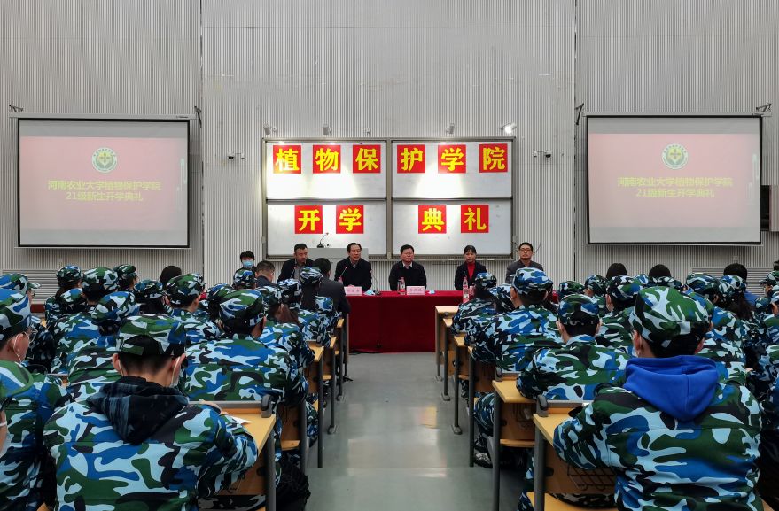 ���ߵ����˿��ֽ�