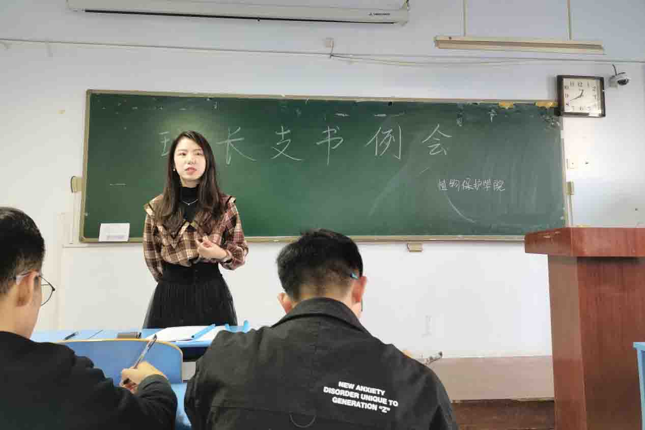 ���ߵ����˿��ֽ�