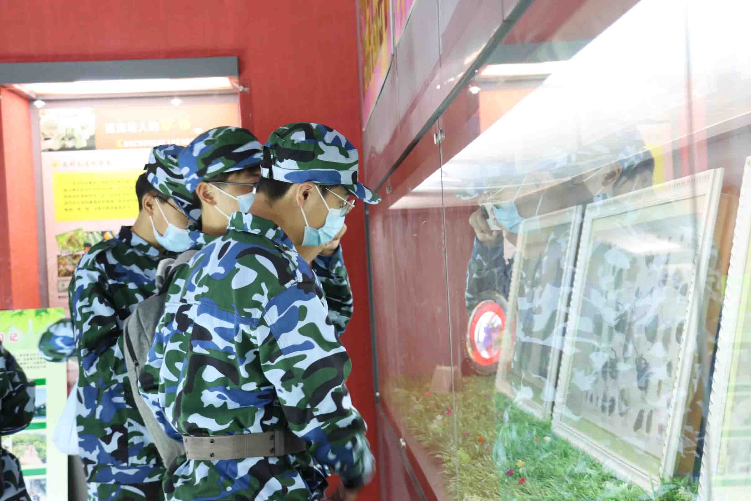 ���ߵ����˿��ֽ�