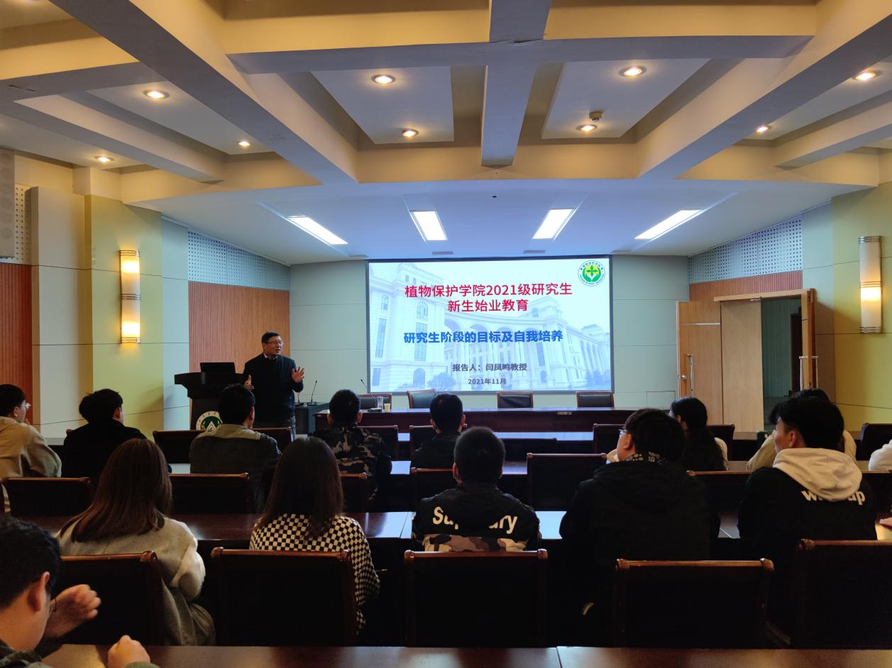 ���ߵ����˿��ֽ�