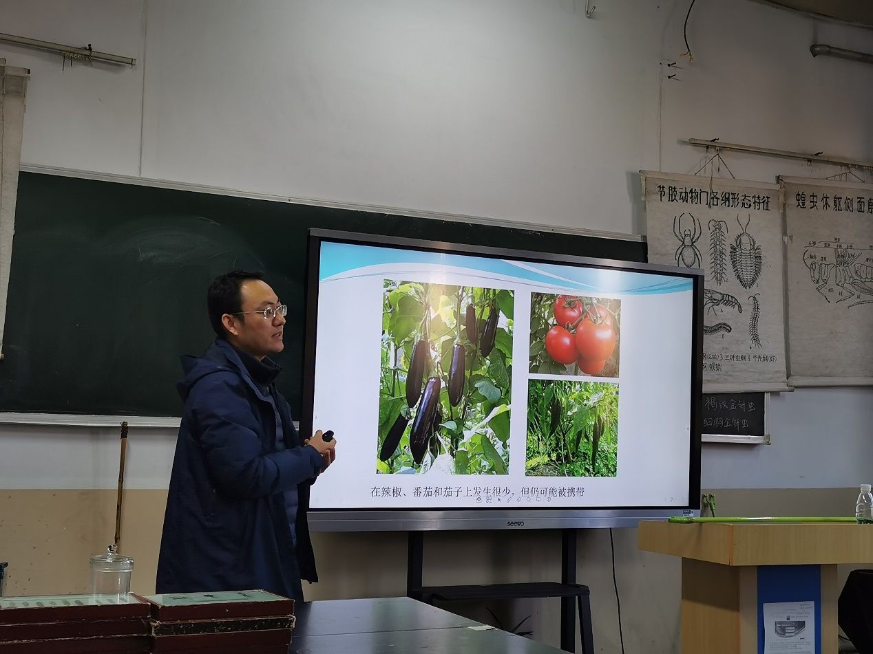 ���ߵ����˿��ֽ�