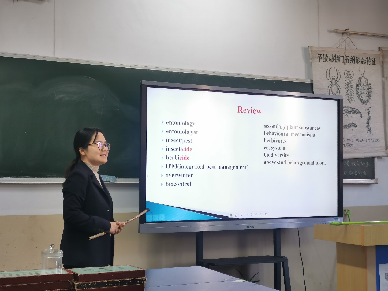 ���ߵ����˿��ֽ�