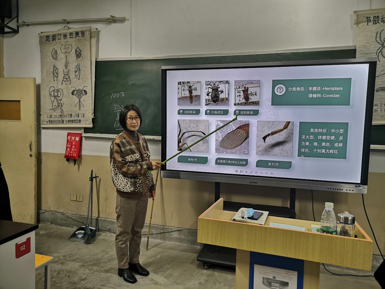 ���ߵ����˿��ֽ�