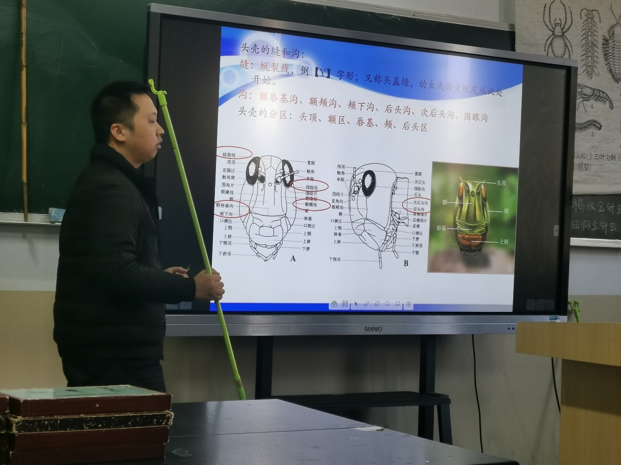 ���ߵ����˿��ֽ�