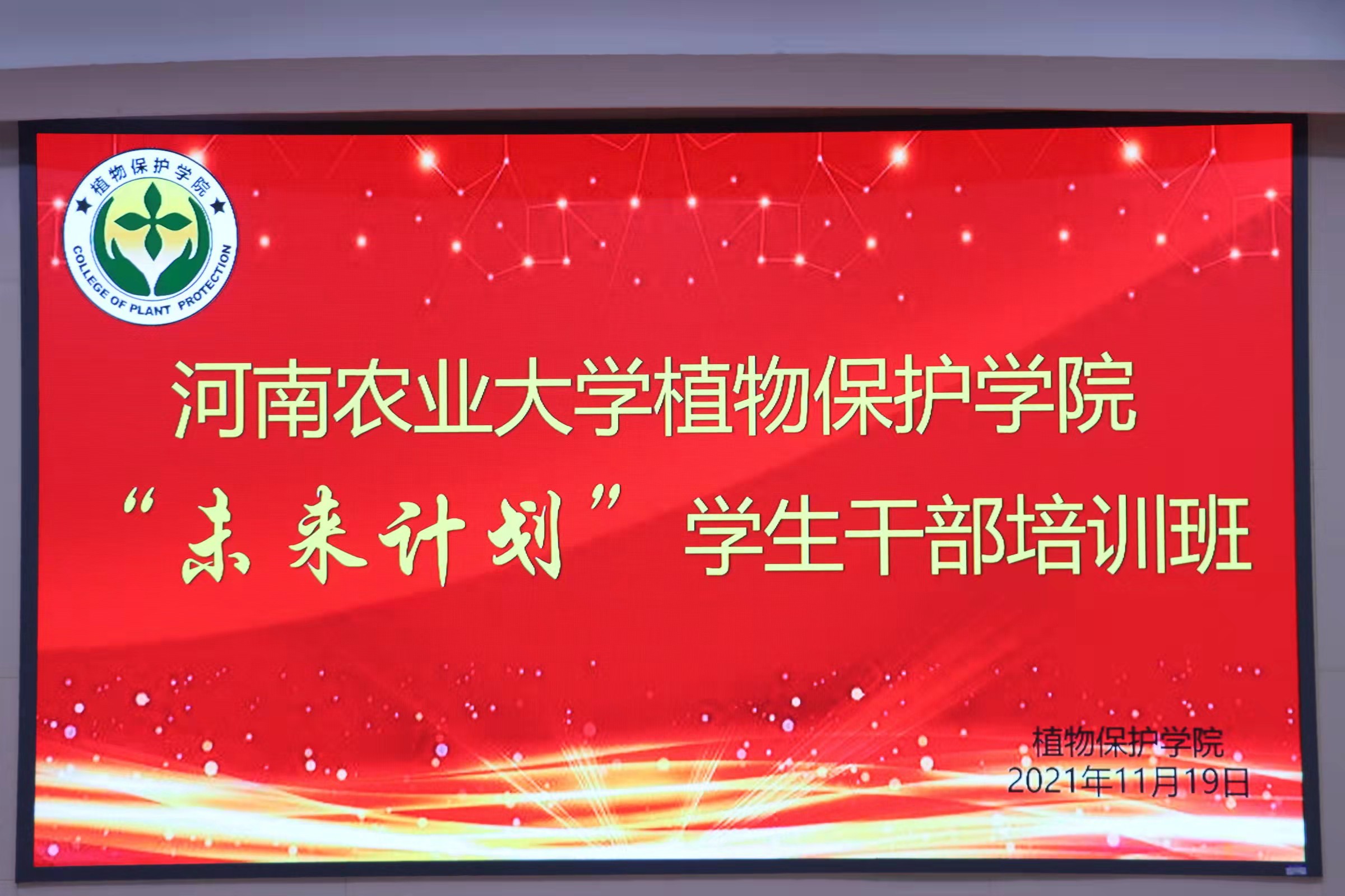 ���ߵ����˿��ֽ�