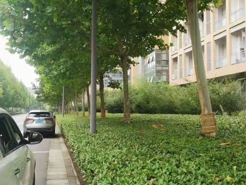 ���ߵ����˿��ֽ�